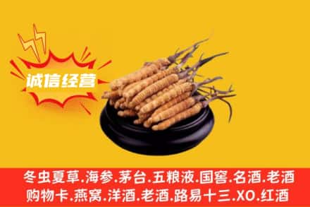 连山区回收冬虫夏草